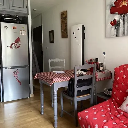 Beau Plus, Refait A Neuf, Confort, Classe 3 Etoiles Par Le Comite Departemantal Du Tourisme De La Haute Garonne Appartement *