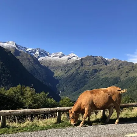 Beau Plus, Refait A Neuf, Confort, Classe 3 Etoiles Par Le Comite Departemantal Du Tourisme De La Haute Garonne Bagnères-de-Luchon