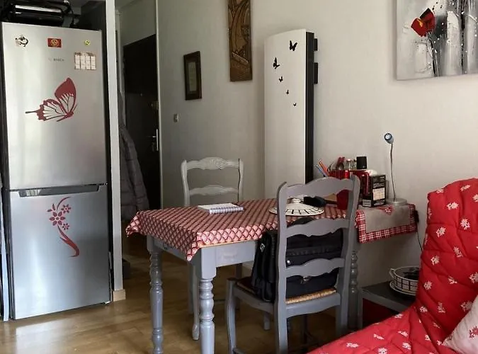 Beau Plus, Refait à Neuf, Confort, Classé 3 étoiles Par Le Comité Départemantal Du Tourisme De La Haute Garonne Appartement *